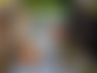 Langsiktig arbeid gir resultater for merkevaren Haldenkanalen