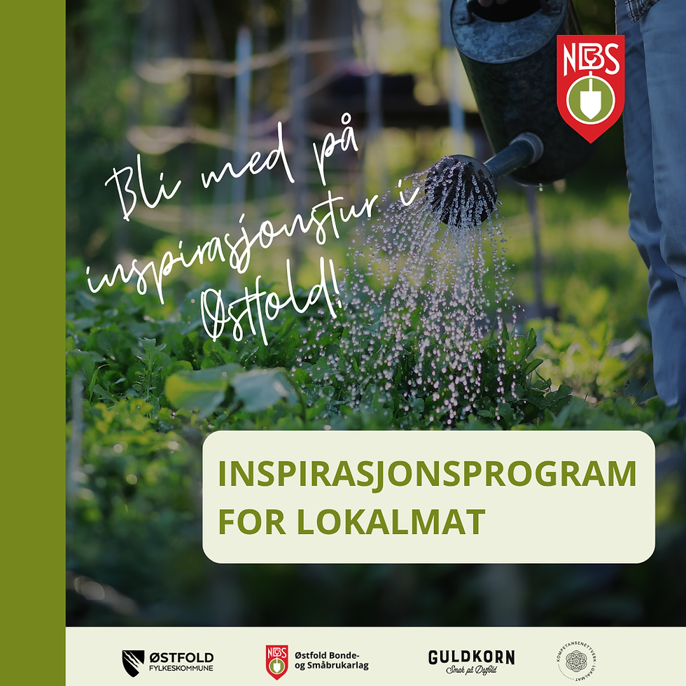 Inspirasjonsprogram for lokalmat