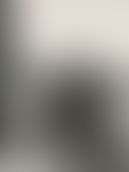 Sagaen om Haldenkanalen