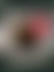 Gi en opplevelse som begeistrer til jul!