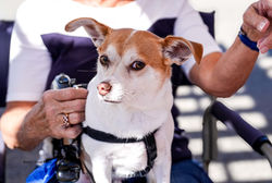 tcpb085874x_54838905630_o