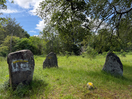 Conservation-Led Graffiti Survey at Standing Stone Circle, near Alford, Aberdeenshire