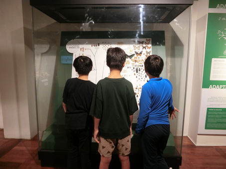 【E5,6】国立自然史博物館 遠足