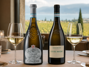 Lugana DOC vs Custoza DOC: Key Differences, Food Pairings and Which Italian White Wine to Choose