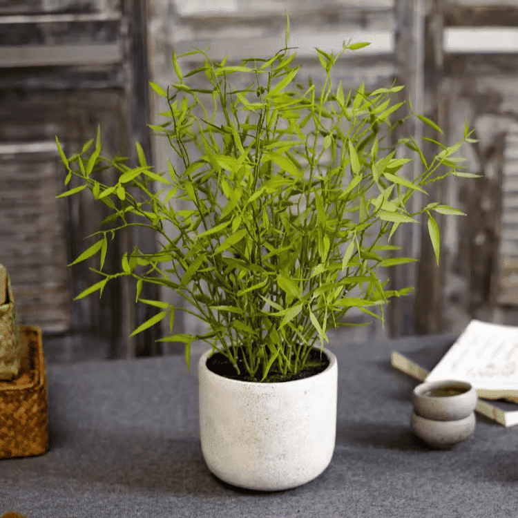Artificial Bamboo Plant in Pot