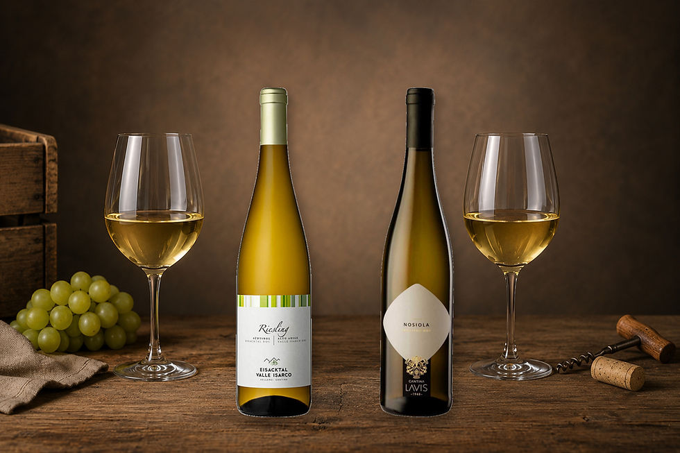 Wine Comparison: Riesling Alto Adige DOC vs Nosiola Trentino DOC: Key Differences, Food Pairings and Which Italian White Wine to Choose