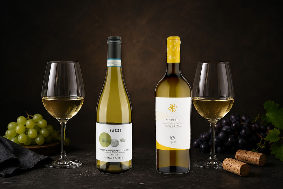 Wine Comparison: Verdicchio dei Castelli di Jesi DOC vs Passerina Marche IGT: Key Differences, Food Pairings and Which Italian White Wine to Choose