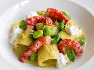 Paccheri con Favette, Gamberi Rossi, Scorza di Limone e Stracciatella (Italian Paccheri with Fava Beans, Red Prawns, Lemon Zest and Stracciatella)
