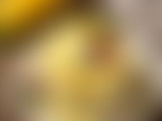 Budino al Limone | Italian Lemon Budino