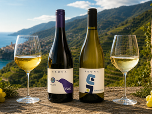 Riviera Ligure di Ponente Pigato vs Vermentino: What’s the Difference?
