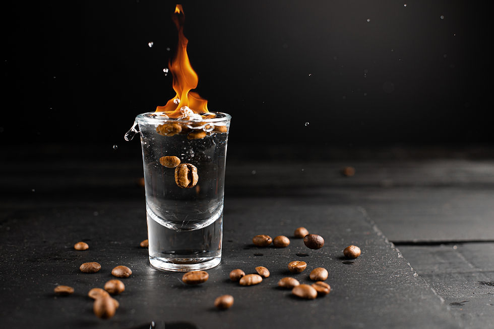 Homemade Sambuca