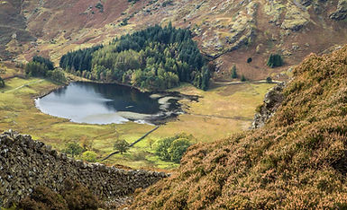 Lingmoor Tarn www.jpg