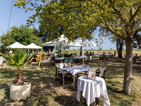 To Neo Steki tis Pareas: The Ultimate Gathering Spot for authentic flavors in Sozopoli, Halkidiki