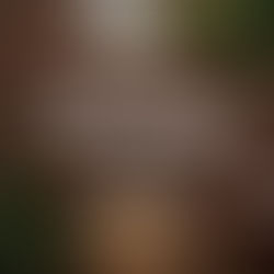 Merry Christmas & Happy New Year