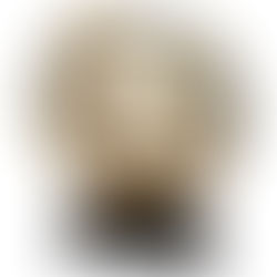 Yes Carel, there was a serious Awards Show in the HMI