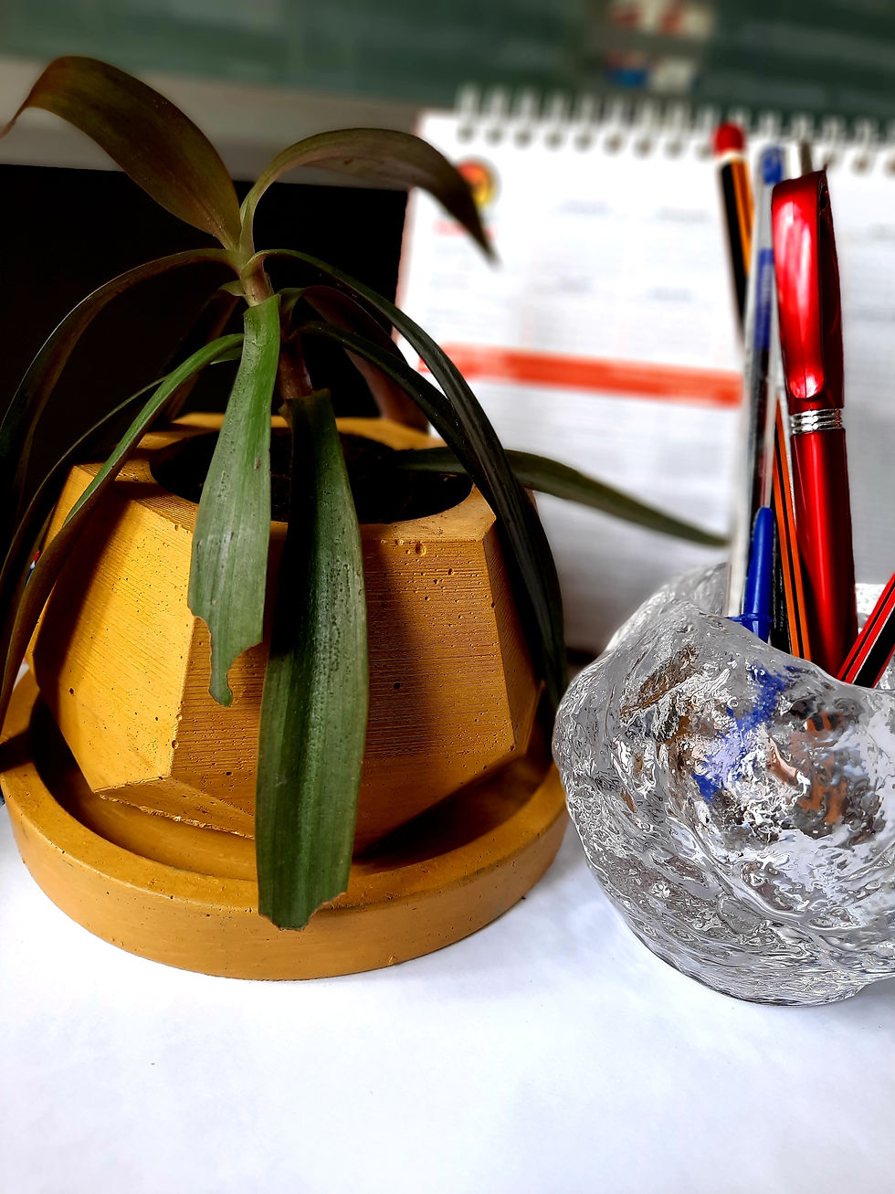 Thumbnail: AMO Mini Pot & Zella Tray.