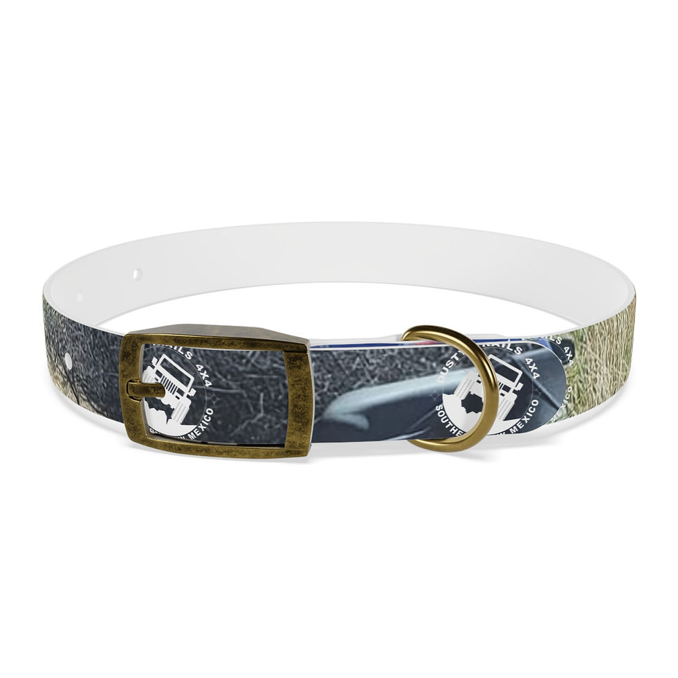 Thumbnail: Dusty Trails 4X4 Stylish Dog Collar