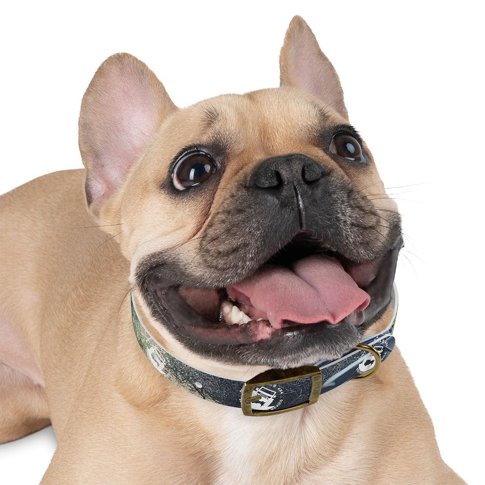 Thumbnail: Dusty Trails 4X4 Stylish Dog Collar