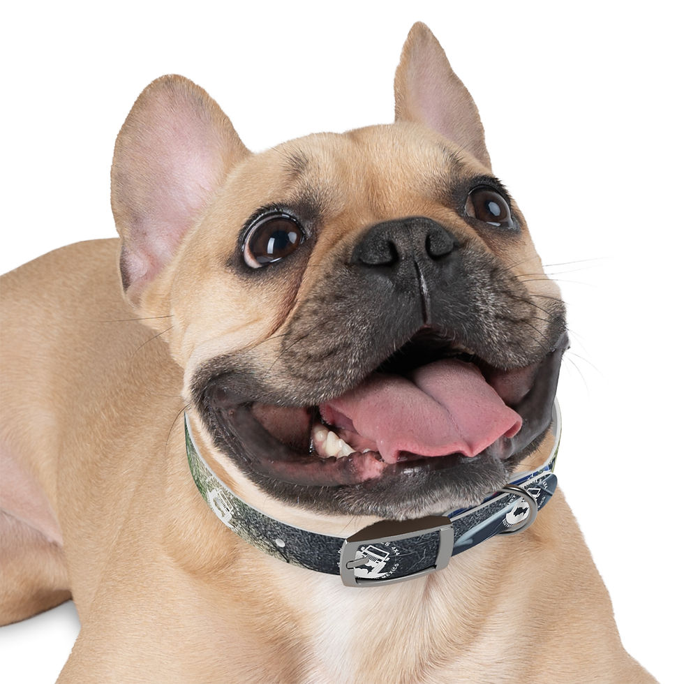 Thumbnail: Dusty Trails 4X4 Stylish Dog Collar