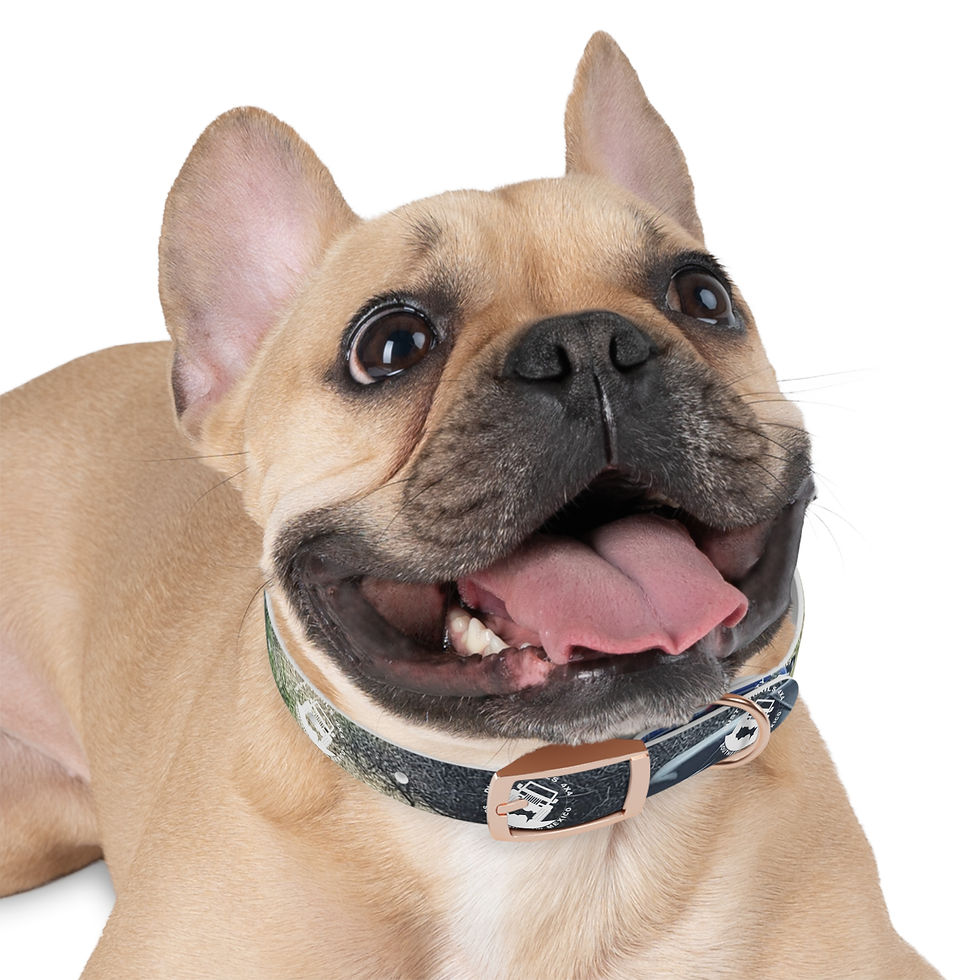 Thumbnail: Dusty Trails 4X4 Stylish Dog Collar