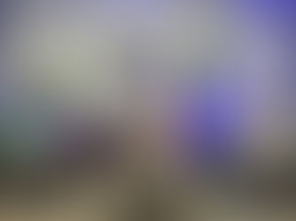 IDEL Conversations - Episode #1 - Fresh Perspectives: Intern Insights