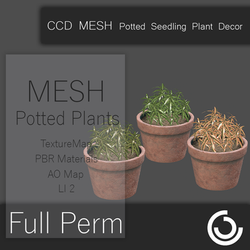 CCD MESH Potted Seedling Plant Decor 001