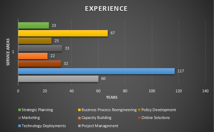 Experience 2020.png