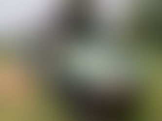 Welcome to Our Adventure!