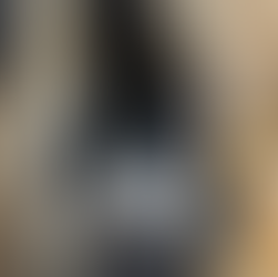 custom kitty litter palace