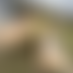 sealing counter and desk