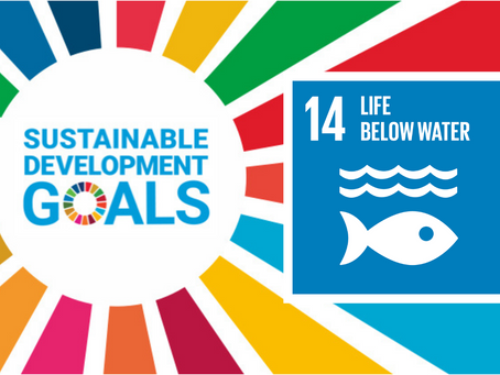 Sustainable Development Goal 14: Life Below Water