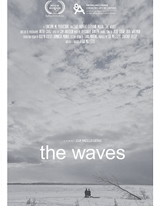 WAVES_POSTER_283x422-1.png