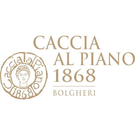CACCIA AL PIANO