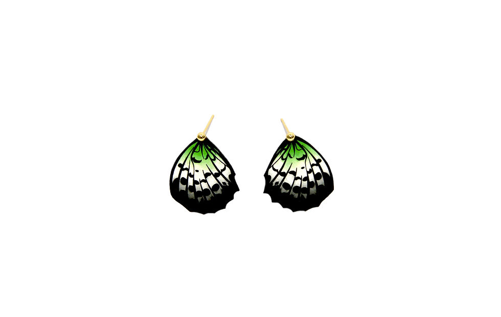 Thumbnail: Agender Pride Flag Coloured Critically Endangered Fritillary Butterfly Earring Studs front view