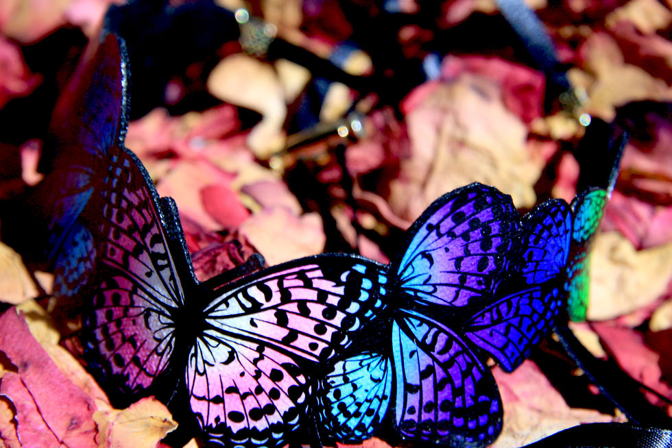 Thumbnail: Pride Fritillary Butterfly Choker Headband