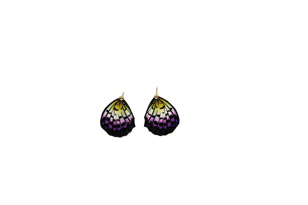 Thumbnail: NonBinary Pride Flag Colored 18k gold Plated Fritillary Butterfly Earring Studs front view