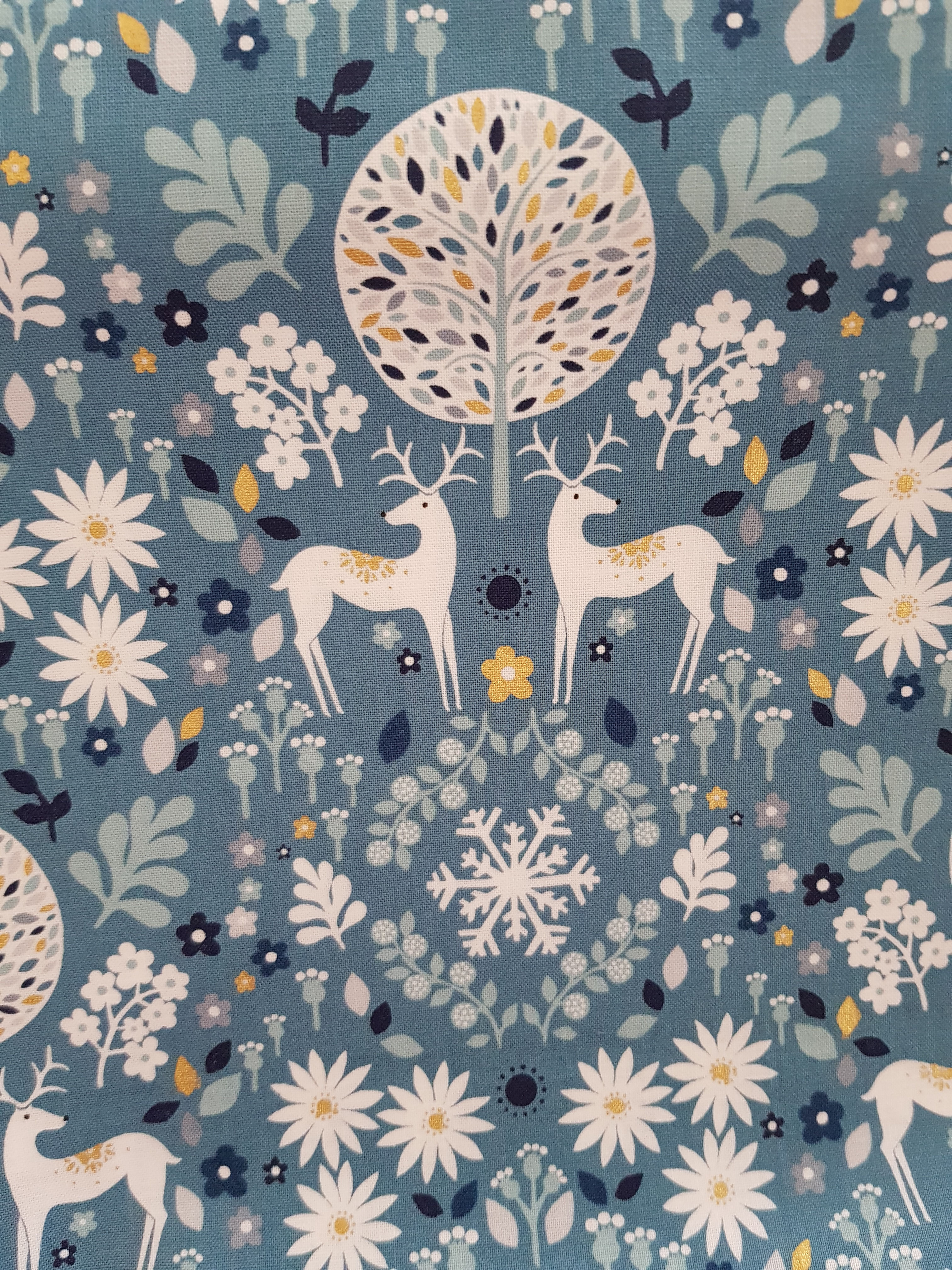 'Starlit Hollow' by Sian Summerhayes - Floral 1687