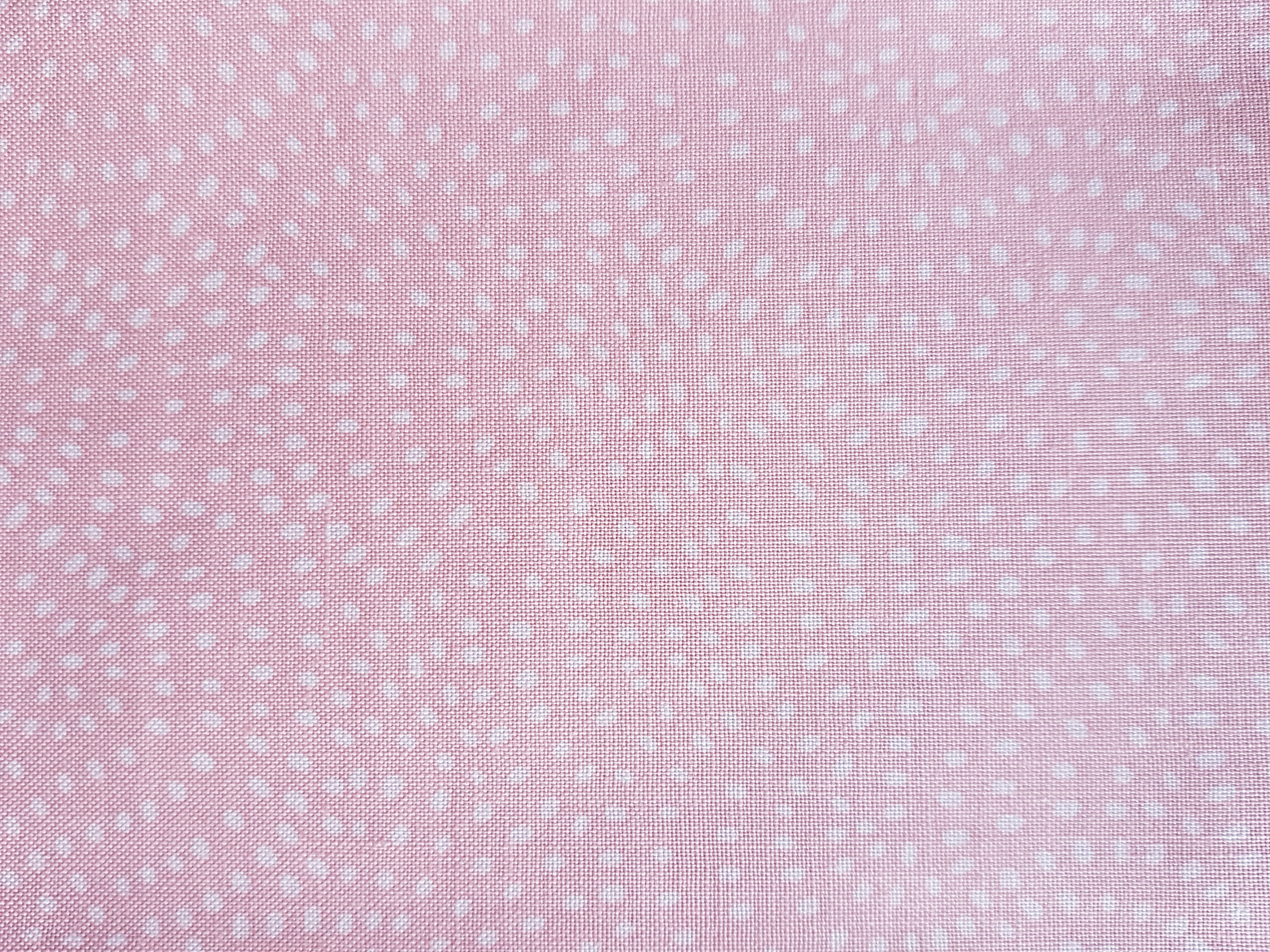 Dashwood Studio 'Twist' Blender in Blush