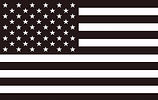 AMERICAN FLAG.png