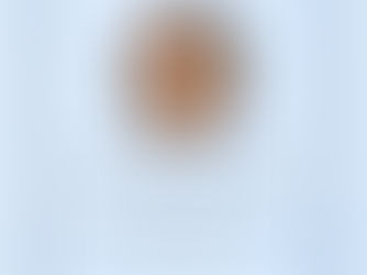 In Memoriam: Renato C. Sunico, MBM 1970