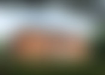 Another Open Day in October in the Reymerston Hall