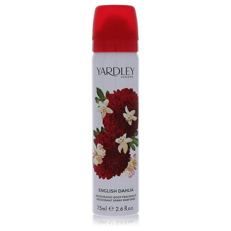English Dahlia by Yardley London