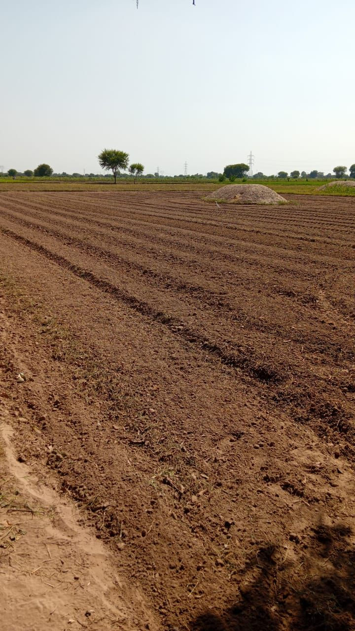 राजस्थान में प्रॉपर्टी डीलर द्वारा दिखाई गई खाली कृषि भूमि।