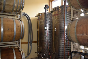FERMENTATION.jpeg