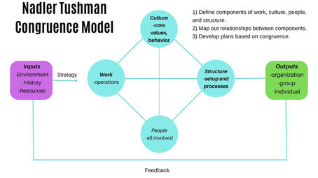Nadler Tushman Congruence Model in Human Performance