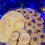 Thumbnail: Cookie Assortment Tray