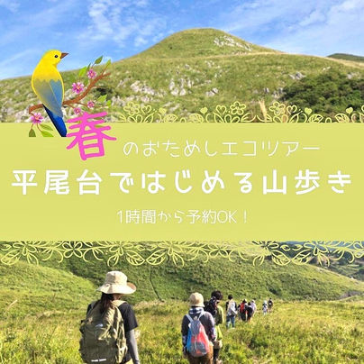 地球のかけらHIRAODAI　春のお試しガイドツアー！