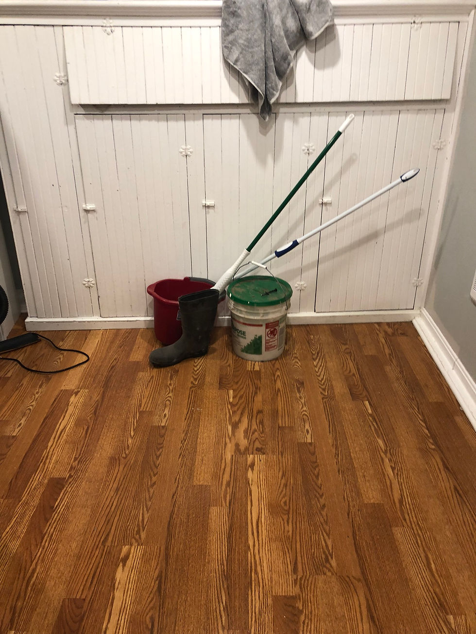 IMG_1664.jpeg