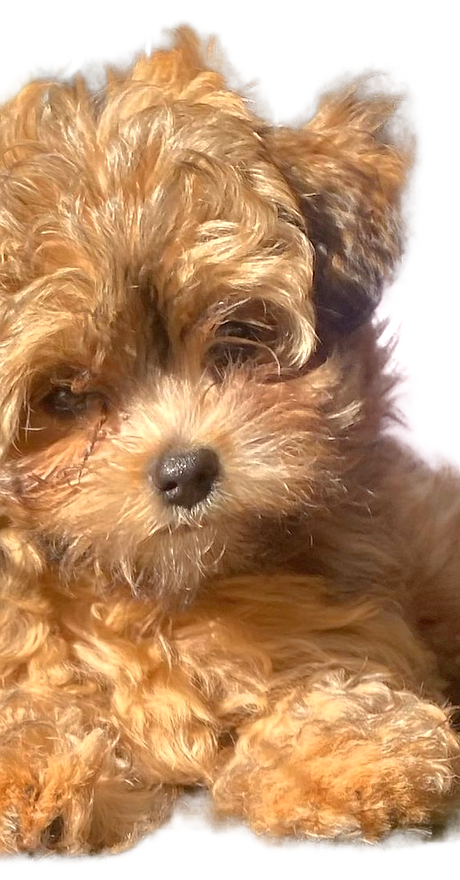 IMG-20250330-WA0003.png