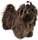 20250527_115636.png